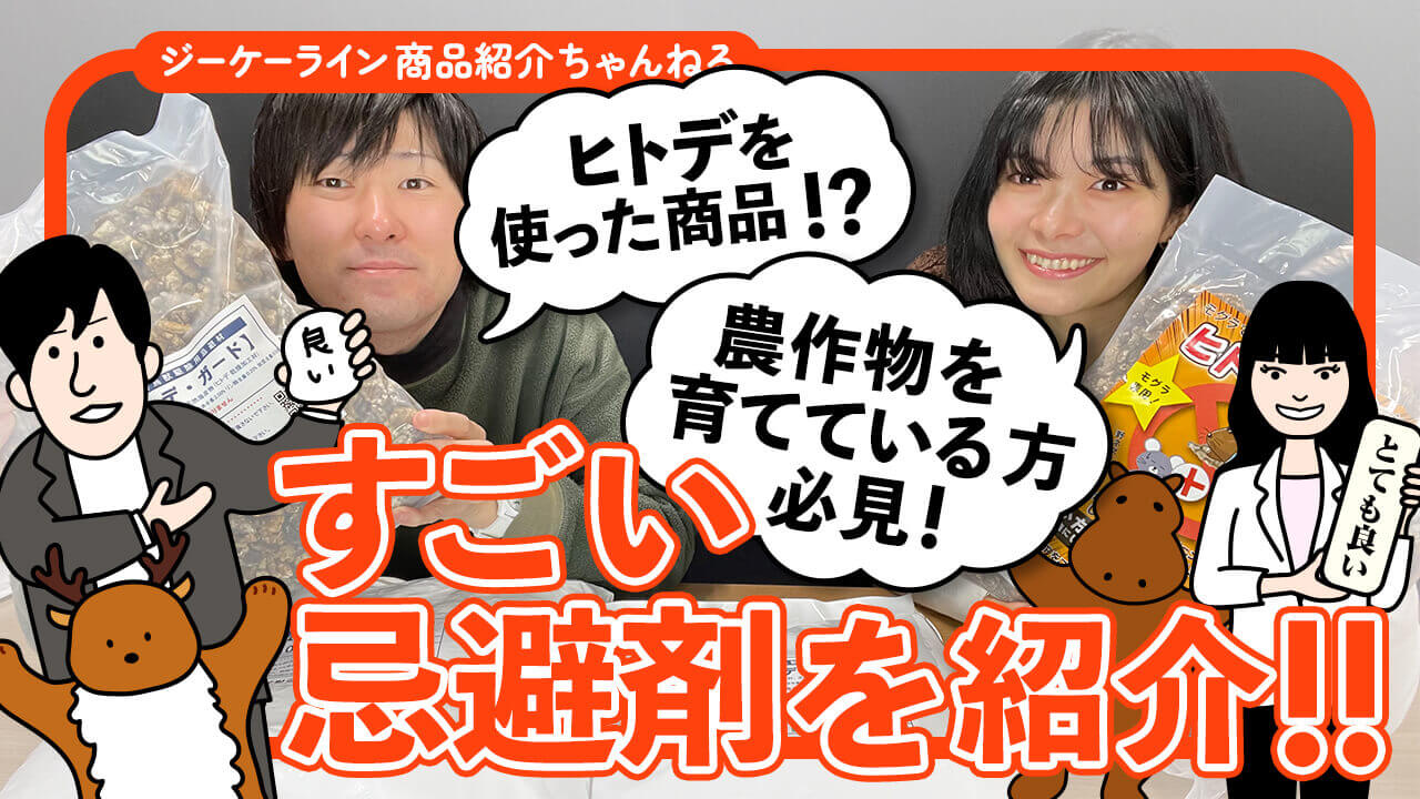 事例画像
